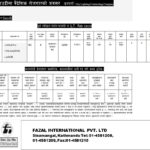 Saudi(City Lighting Contracting Company)